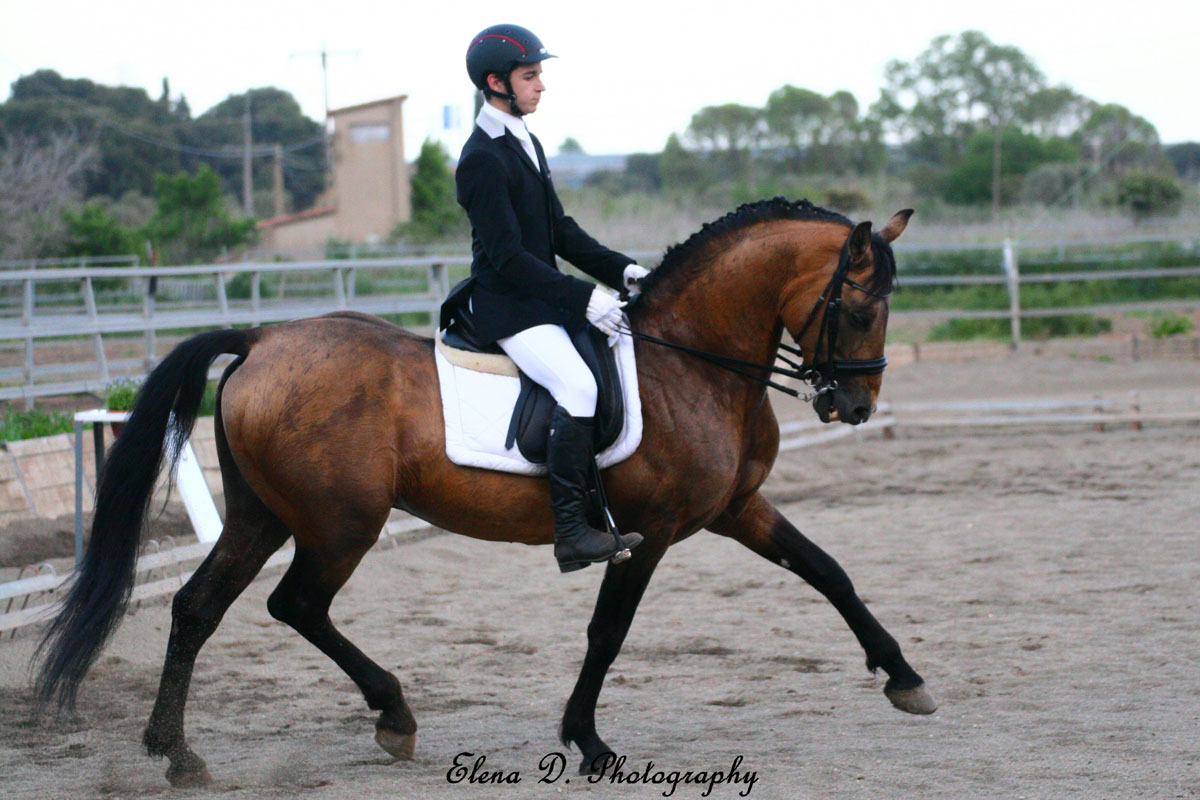 Jinete a caballo