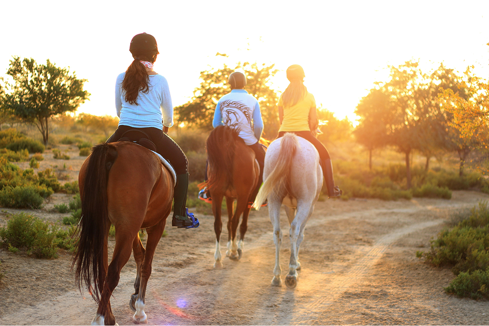 Personas dando un paseo a caballo a la tarde
